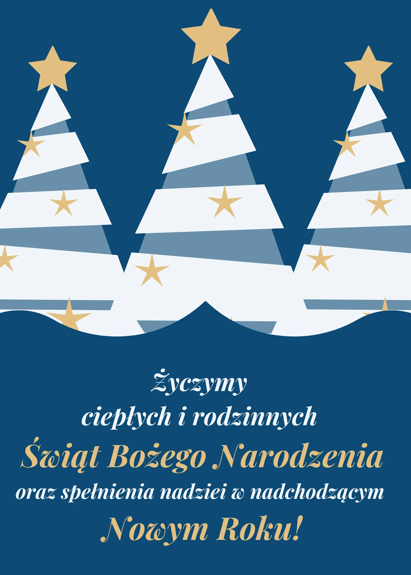 Życzymy ciepłych i rodzinnych Świąt Bożego Narodzenia oraz spełnienia nadziei w nadchodzącym Nowym Roku!